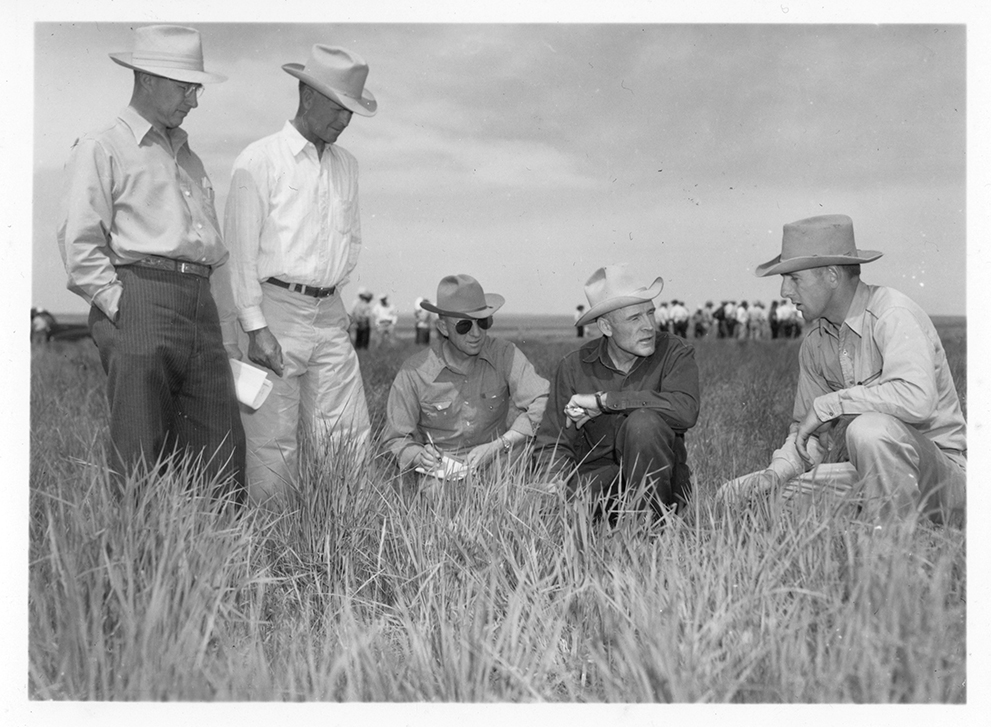 History of Extension