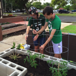 Two young adults lift a metal cage onto a plant